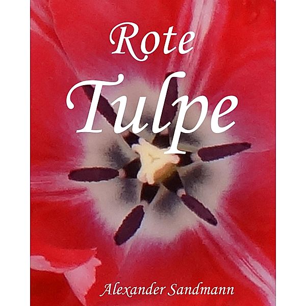 Rote Tulpe, Alexander Sandmann