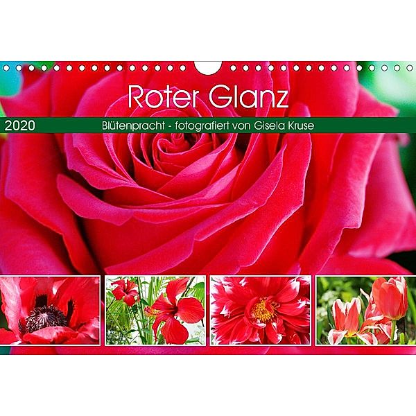 Roter Glanz Blütenpracht (Wandkalender 2020 DIN A4 quer), Gisela Kruse