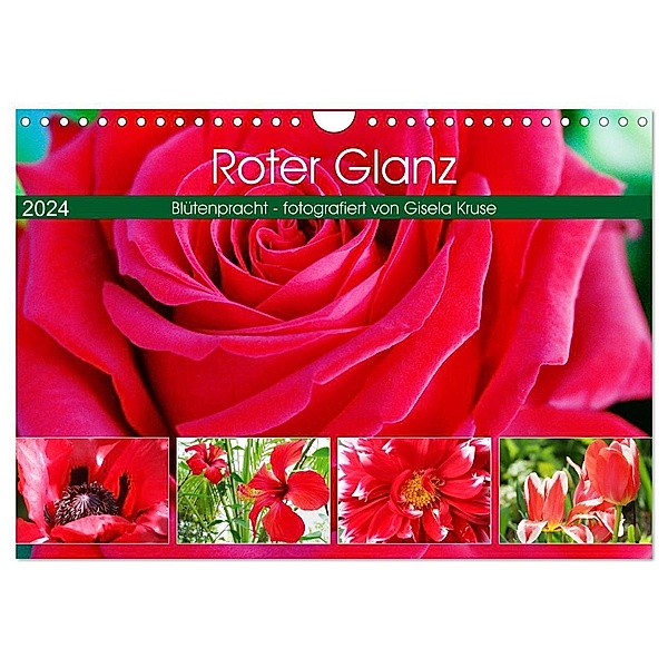 Roter Glanz Blütenpracht (Wandkalender 2024 DIN A4 quer), CALVENDO Monatskalender, Gisela Kruse