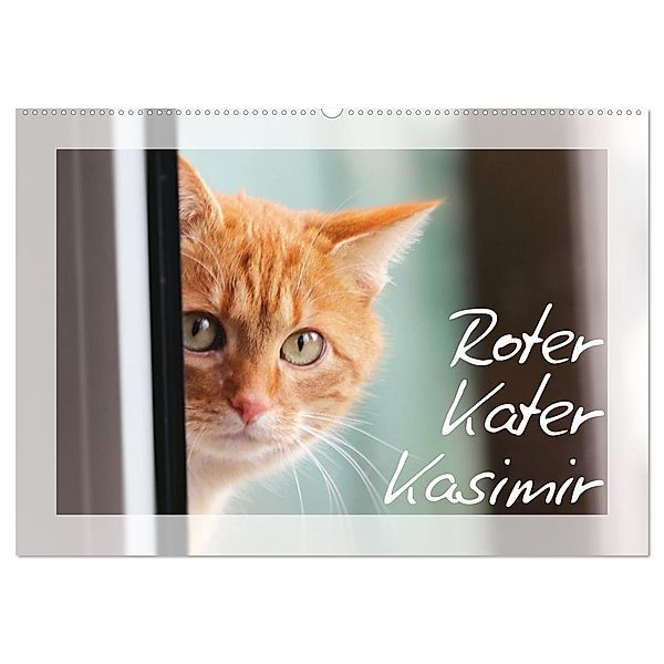 Roter Kater Kasimir (Wandkalender 2024 DIN A2 quer), CALVENDO Monatskalender, Sabine Löwer