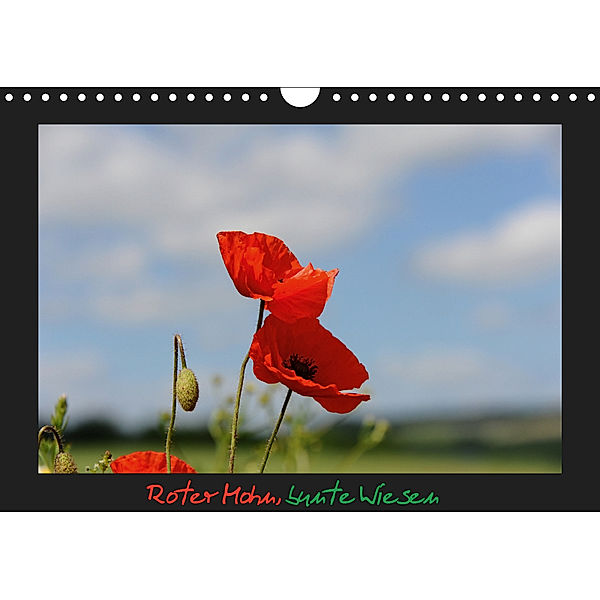 Roter Mohn, bunte Wiesen (Wandkalender 2019 DIN A4 quer), NOrdstern