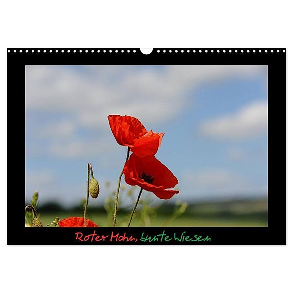 Roter Mohn, bunte Wiesen (Wandkalender 2024 DIN A3 quer), CALVENDO Monatskalender, Nordstern