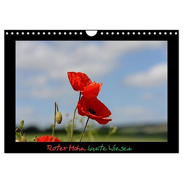 Roter Mohn, bunte Wiesen (Wandkalender 2024 DIN A4 quer), CALVENDO Monatskalender, Nordstern