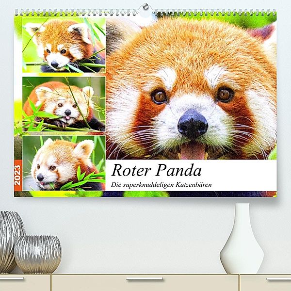 Roter Panda. Die superknuddeligen Katzenbären (Premium, hochwertiger DIN A2 Wandkalender 2023, Kunstdruck in Hochglanz), Rose Hurley