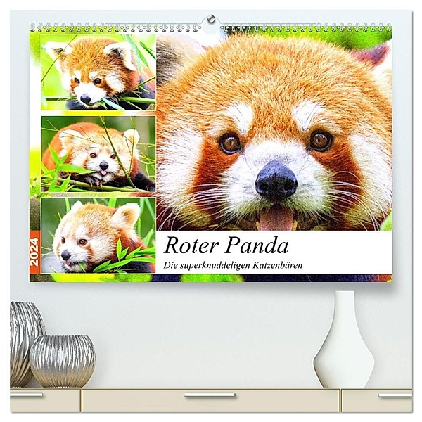 Roter Panda. Die superknuddeligen Katzenbären (hochwertiger Premium Wandkalender 2024 DIN A2 quer), Kunstdruck in Hochglanz, Rose Hurley