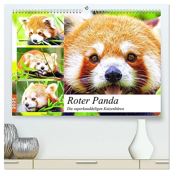 Roter Panda. Die superknuddeligen Katzenbären (hochwertiger Premium Wandkalender 2025 DIN A2 quer), Kunstdruck in Hochglanz, Calvendo, Rose Hurley