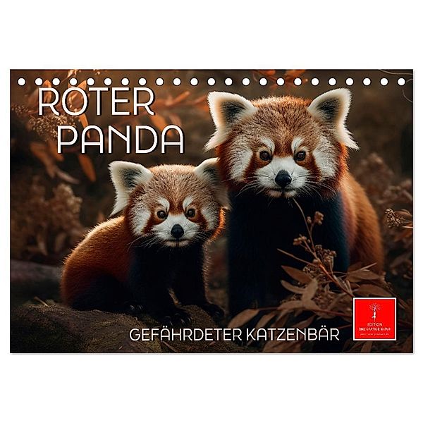 Roter Panda - gefährdeter Katzenbär (Tischkalender 2024 DIN A5 quer), CALVENDO Monatskalender, Peter Roder