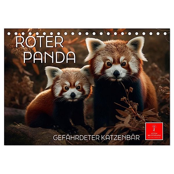 Roter Panda - gefährdeter Katzenbär (Tischkalender 2025 DIN A5 quer), CALVENDO Monatskalender, Calvendo, Peter Roder