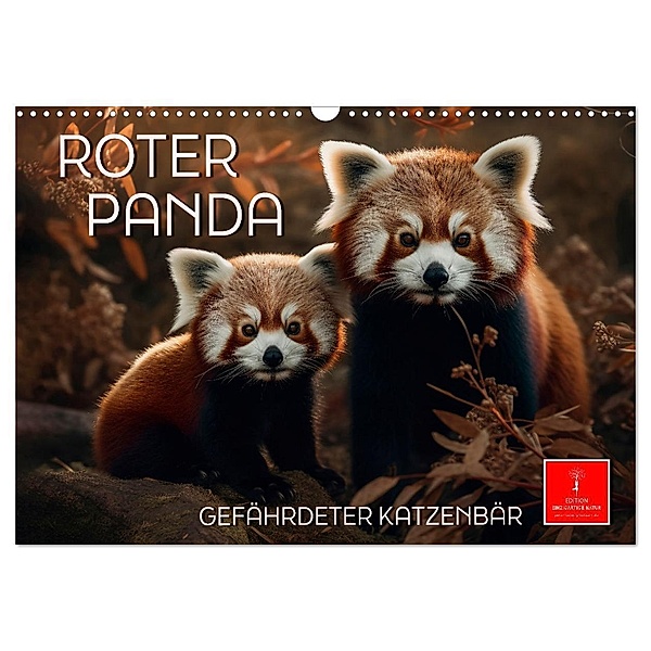 Roter Panda - gefährdeter Katzenbär (Wandkalender 2024 DIN A3 quer), CALVENDO Monatskalender, Peter Roder