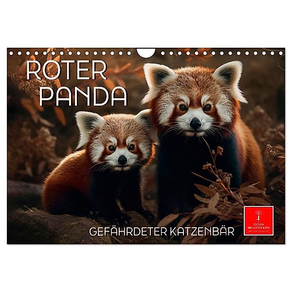 Roter Panda - gefährdeter Katzenbär (Wandkalender 2024 DIN A4 quer), CALVENDO Monatskalender, Peter Roder