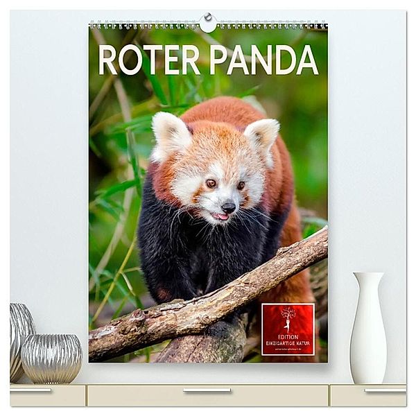 Roter Panda (hochwertiger Premium Wandkalender 2024 DIN A2 hoch), Kunstdruck in Hochglanz, Peter Roder