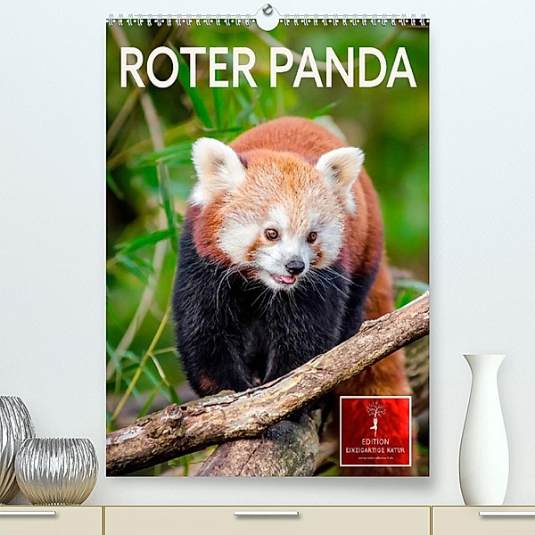 Roter Panda (Premium, hochwertiger DIN A2 Wandkalender 2023, Kunstdruck in Hochglanz), Peter Roder