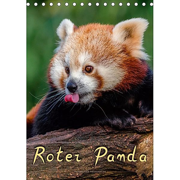 Roter Panda (Tischkalender 2020 DIN A5 hoch), Peter Roder