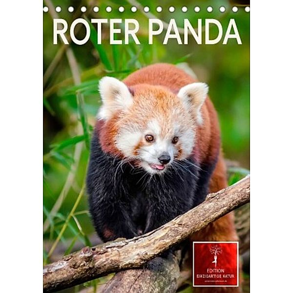Roter Panda (Tischkalender 2022 DIN A5 hoch), Peter Roder
