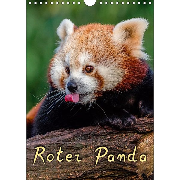 Roter Panda (Wandkalender 2020 DIN A4 hoch), Peter Roder