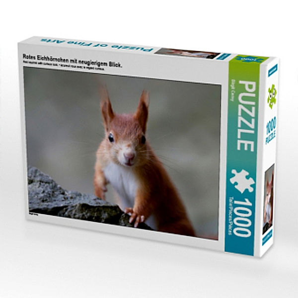 Rotes Eichhörnchen mit neugierigem Blick. (Puzzle), Birgit Cerny