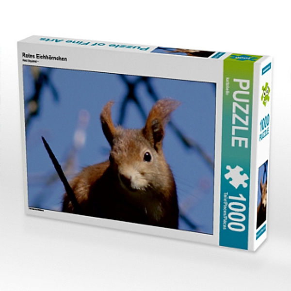 Rotes Eichhörnchen (Puzzle), Kattobello