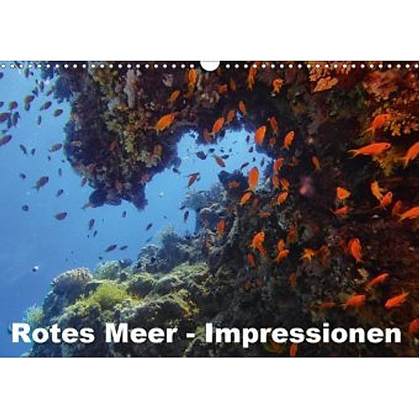 Rotes Meer - Impressionen (Wandkalender 2020 DIN A3 quer), Lars Eberschulz