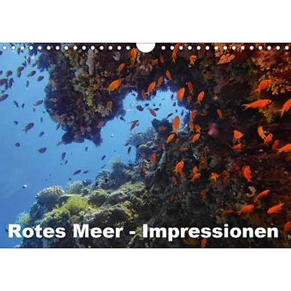 Rotes Meer - Impressionen (Wandkalender 2020 DIN A4 quer), Lars Eberschulz