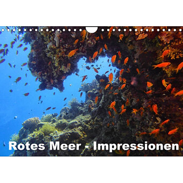Rotes Meer - Impressionen (Wandkalender 2022 DIN A4 quer), Lars Eberschulz