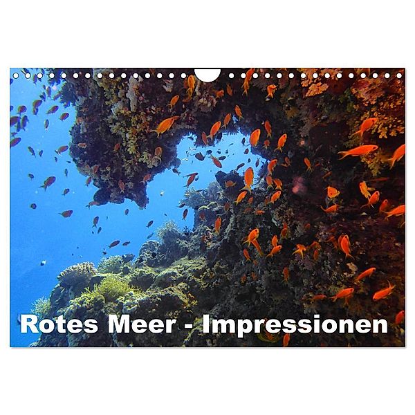 Rotes Meer - Impressionen (Wandkalender 2024 DIN A4 quer), CALVENDO Monatskalender, Lars Eberschulz