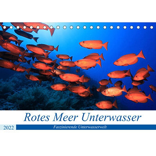 Rotes Meer Unterwasser (Tischkalender 2022 DIN A5 quer), Martin Hablützel