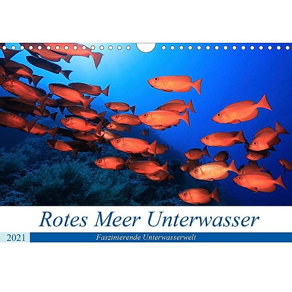 Rotes Meer Unterwasser (Wandkalender 2021 DIN A4 quer), Martin Hablützel