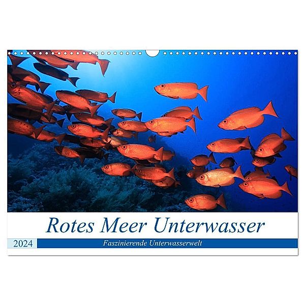 Rotes Meer Unterwasser (Wandkalender 2024 DIN A3 quer), CALVENDO Monatskalender, Martin Hablützel