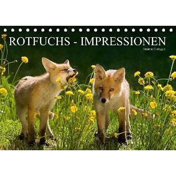 Rotfuchs - Impressionen (Tischkalender 2016 DIN A5 quer), Susanne Danegger