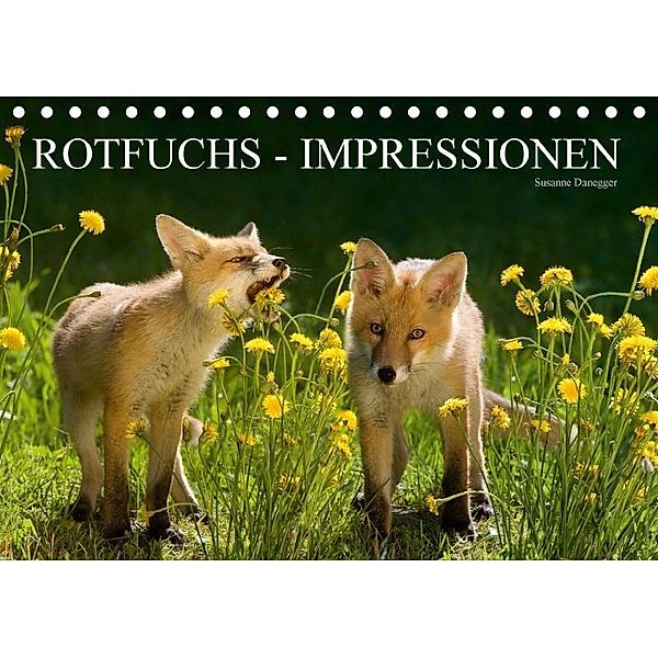 Rotfuchs - Impressionen (Tischkalender 2017 DIN A5 quer), Susanne Danegger