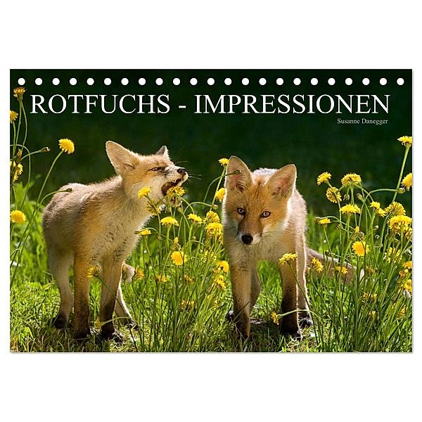 Rotfuchs - Impressionen (Tischkalender 2024 DIN A5 quer), CALVENDO Monatskalender, Susanne Danegger