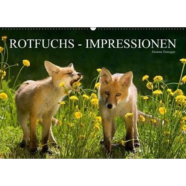 Rotfuchs - Impressionen (Wandkalender 2016 DIN A2 quer), Susanne Danegger