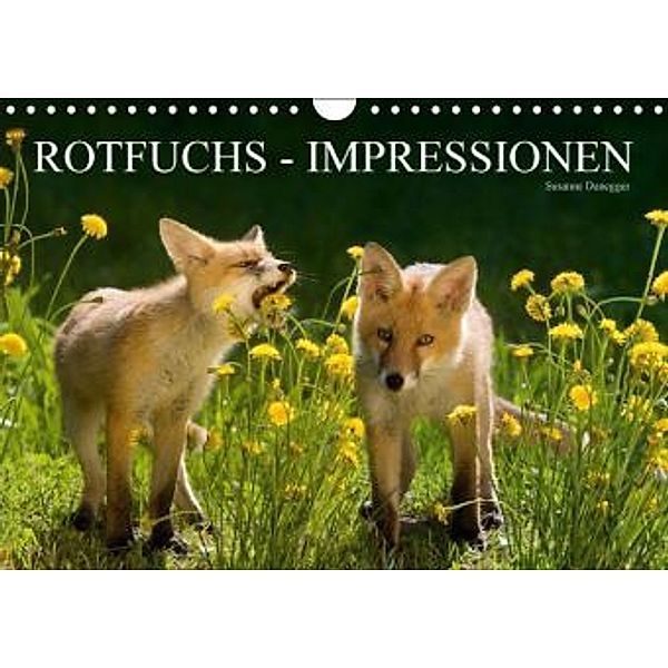 Rotfuchs - Impressionen (Wandkalender 2016 DIN A4 quer), Susanne Danegger