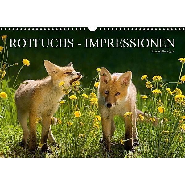 Rotfuchs - Impressionen (Wandkalender 2017 DIN A3 quer), Susanne Danegger