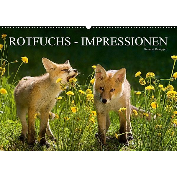 Rotfuchs - Impressionen (Wandkalender 2020 DIN A2 quer), Susanne Danegger