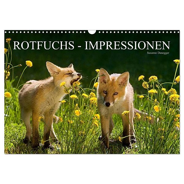 Rotfuchs - Impressionen (Wandkalender 2024 DIN A3 quer), CALVENDO Monatskalender, Susanne Danegger