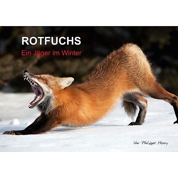 ROTFUCHS (Posterbuch DIN A3 quer), Philippe Henry