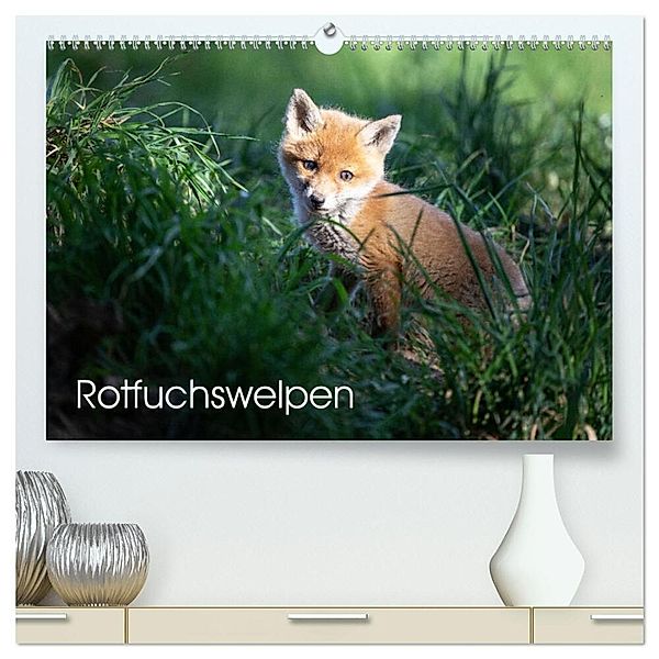 Rotfuchswelpen (hochwertiger Premium Wandkalender 2024 DIN A2 quer), Kunstdruck in Hochglanz, David Oberholzer