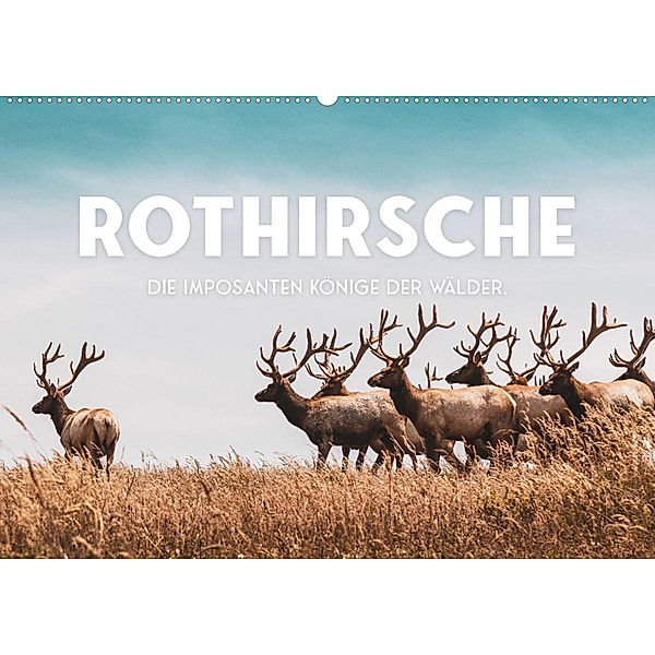 Rothirsche - Die imposanten Könige der Wälder. (Wandkalender 2023 DIN A2 quer), SF