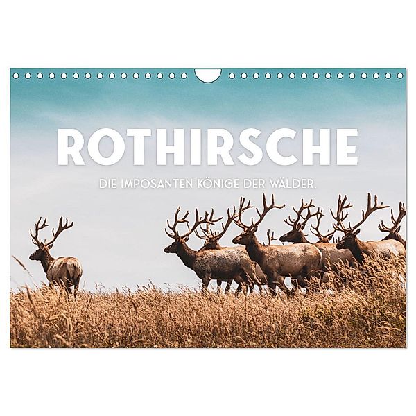 Rothirsche - Die imposanten Könige der Wälder. (Wandkalender 2024 DIN A4 quer), CALVENDO Monatskalender, SF