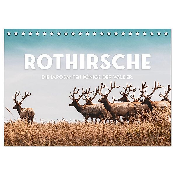 Rothirsche - Die imposanten Könige der Wälder. (Tischkalender 2024 DIN A5 quer), CALVENDO Monatskalender, SF