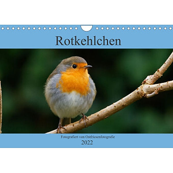 Rotkehlchen - Fotografiert von Ostfriesenfotografie (Wandkalender 2022 DIN A4 quer), Christina Betten - Ostfriesenfotografie