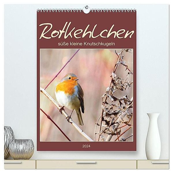 Rotkehlchen, süße kleine Knutschkugeln (hochwertiger Premium Wandkalender 2024 DIN A2 hoch), Kunstdruck in Hochglanz, Sabine Löwer