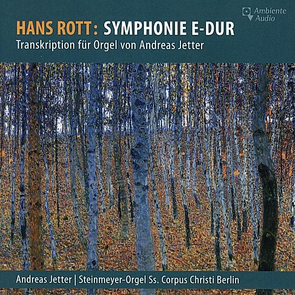 Rott - Symphonie E-Dur, Andreas Jetter