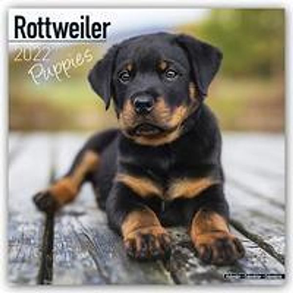 Rottweiler Puppies - Rottweiler Welpen 2022, Avonside Publishing