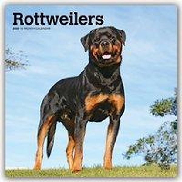Rottweilers 2020, BrownTrout Publisher
