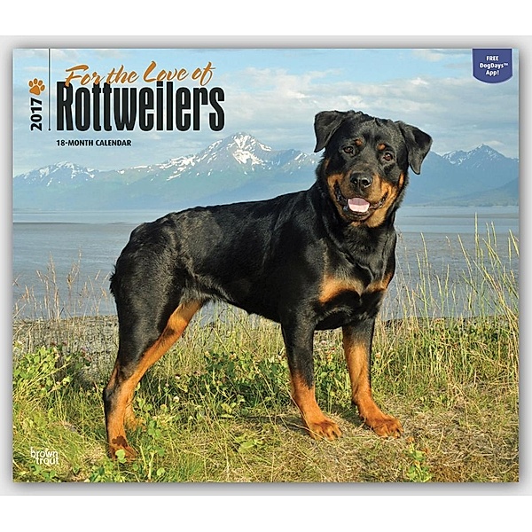 Rottweilers - For the love of - 2017 - 18-Monatskalender