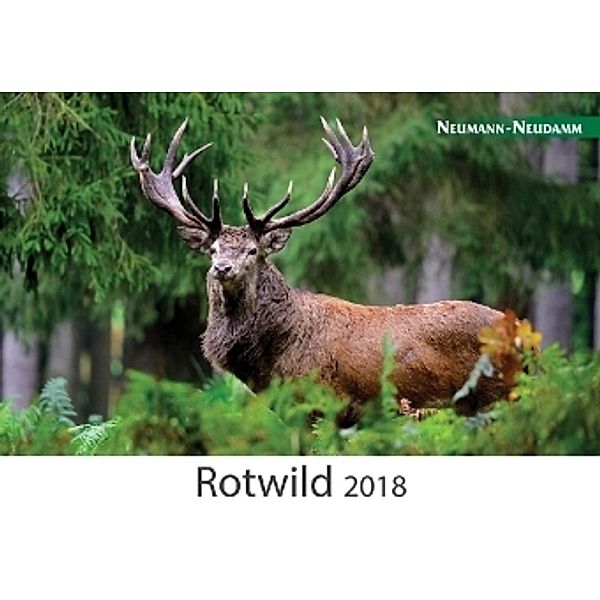 Rotwild 2018