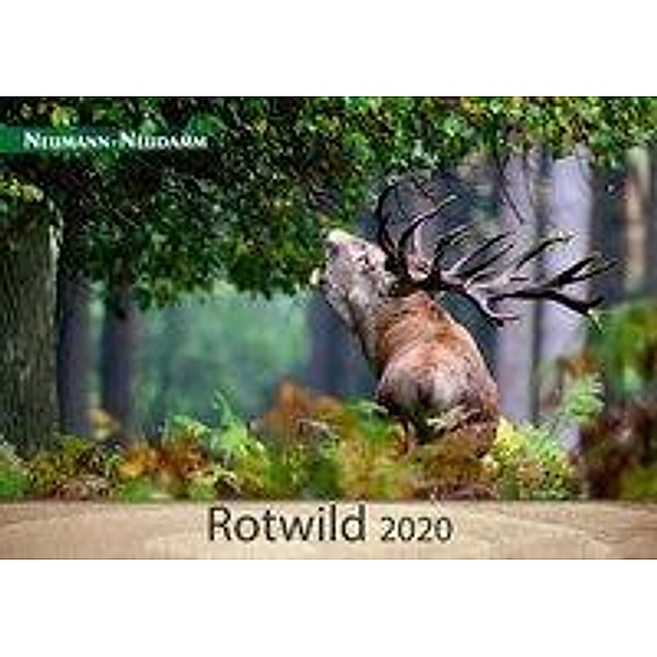 Rotwild 2020