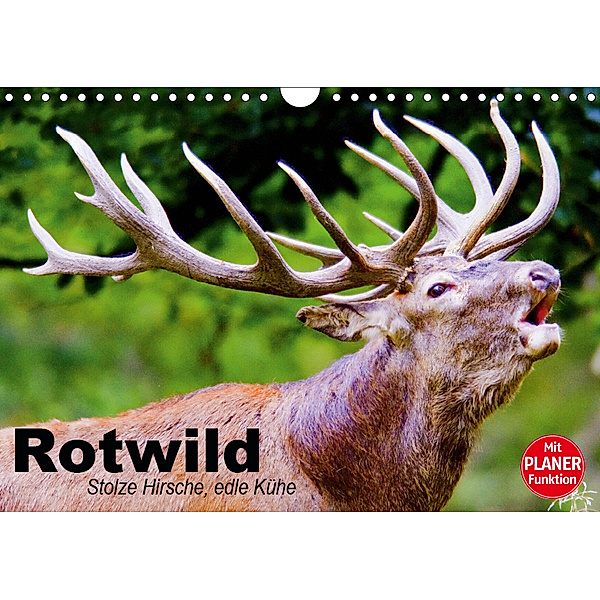 Rotwild. Edle Hirsche, stolze Kühe (Wandkalender 2019 DIN A4 quer), Elisabeth Stanzer